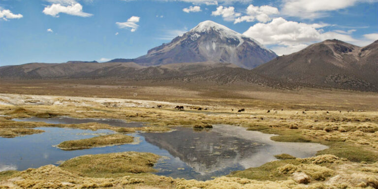 Sajama Mountain Bolivia