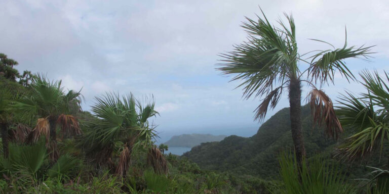 Walk To El Pueblito Tayrona National Park Colombia