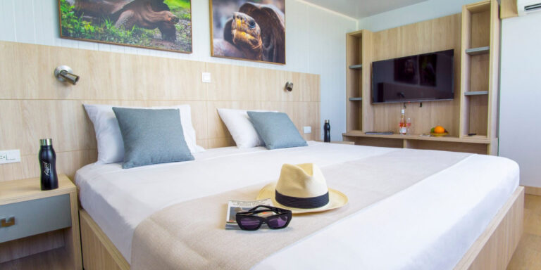 Galapagos Angel Suite Galapagos Islands