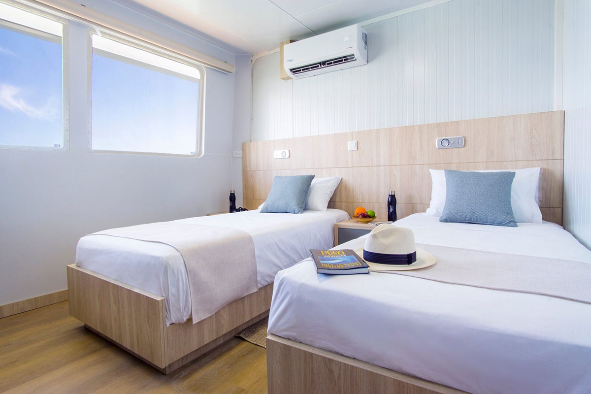 Galapagos Angel Twin Cabin Galapagos Islands