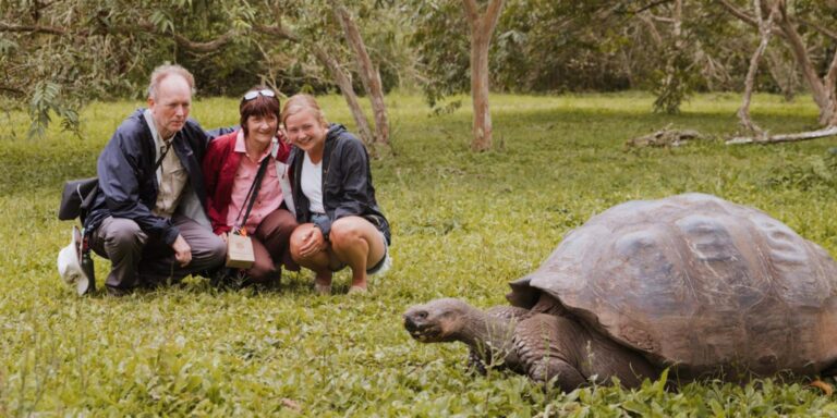 People Watching Giant Tortoise Santa Cruz Galapagos Islands