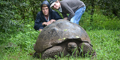 kids with giant tortoises family holiday galapagos