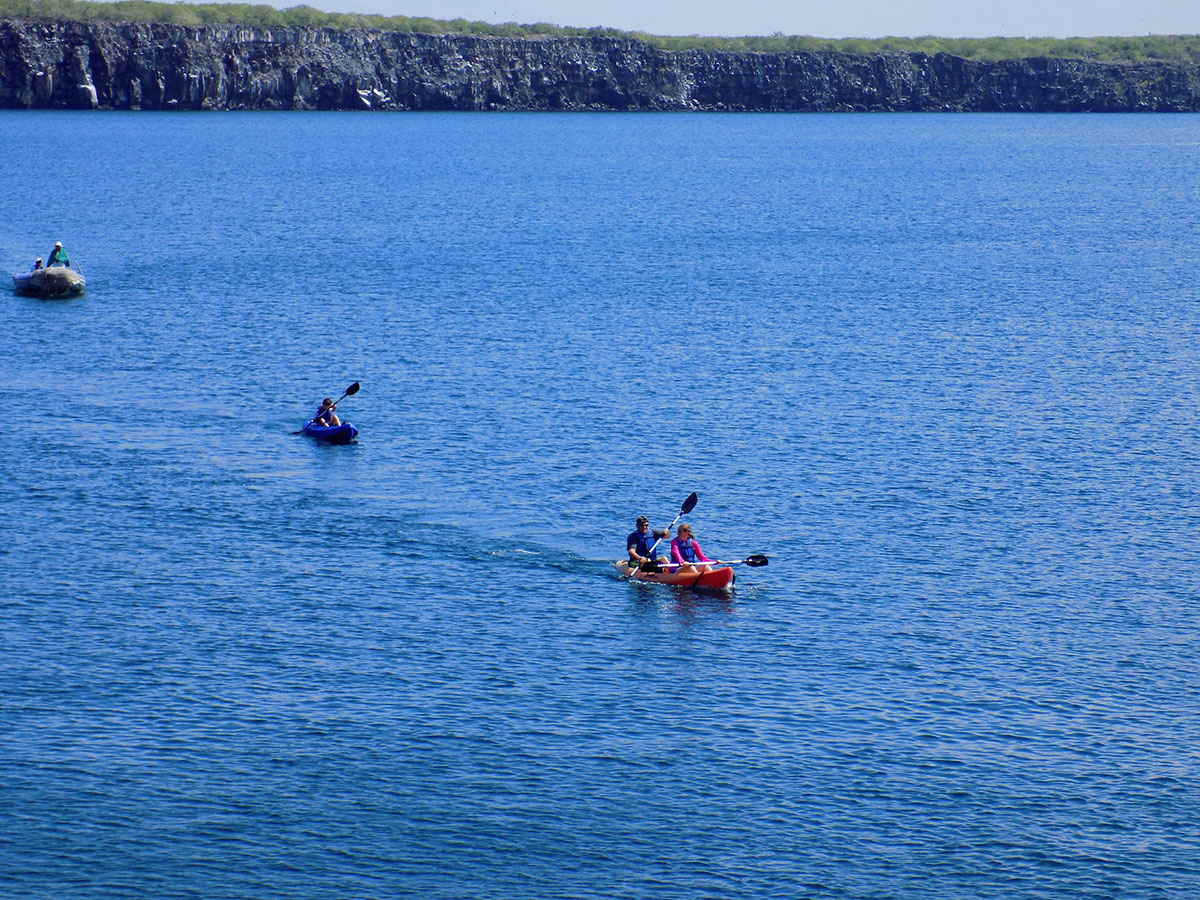 kayaking off isabela galapagos