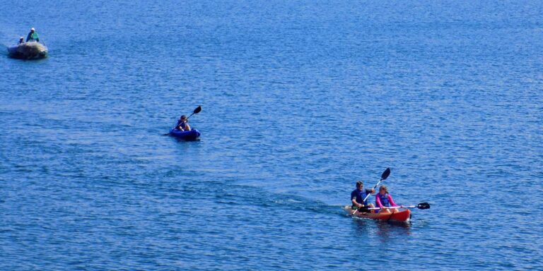 kayaking off isabela galapagos