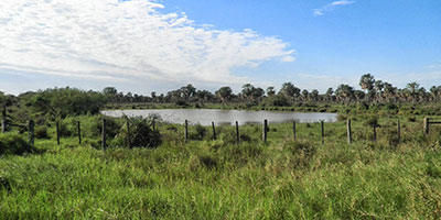 Chaco Paraguay