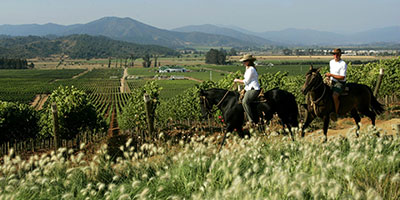 horse riding wine region Chile