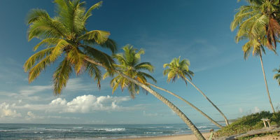 Cassange Beach North east Brazil