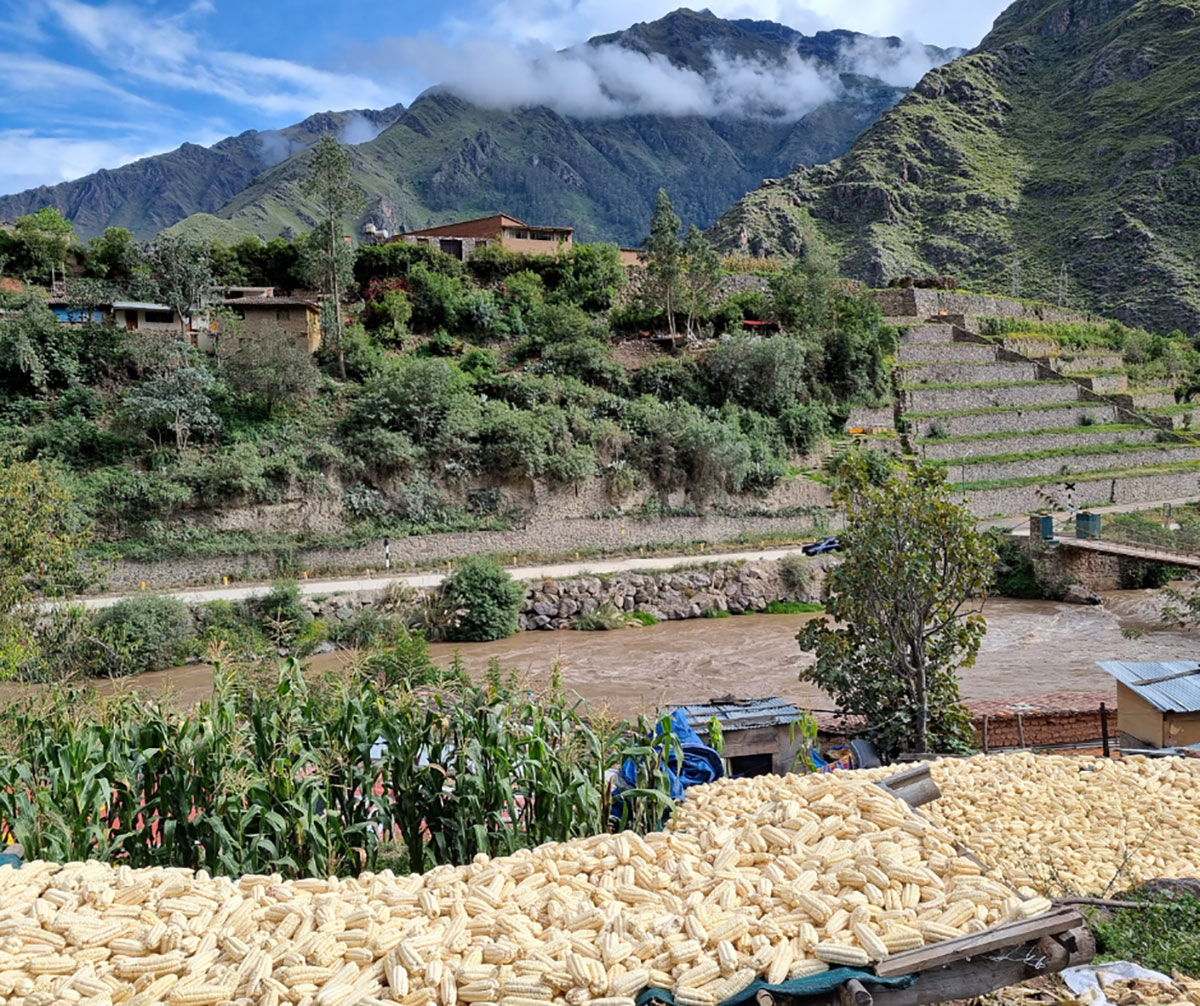 Following Ancient Inca Trails