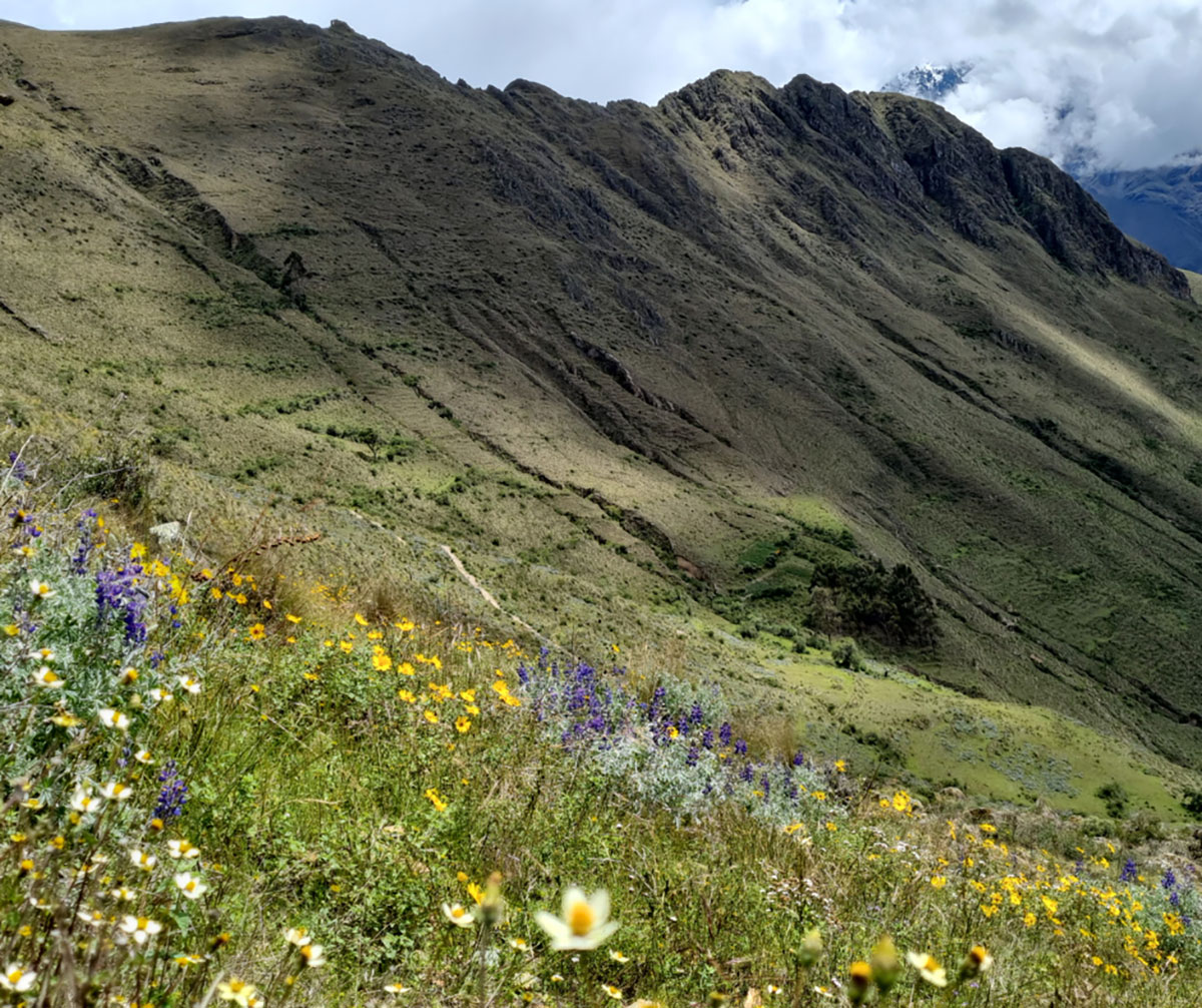 Finding Space in the Sacred Valley