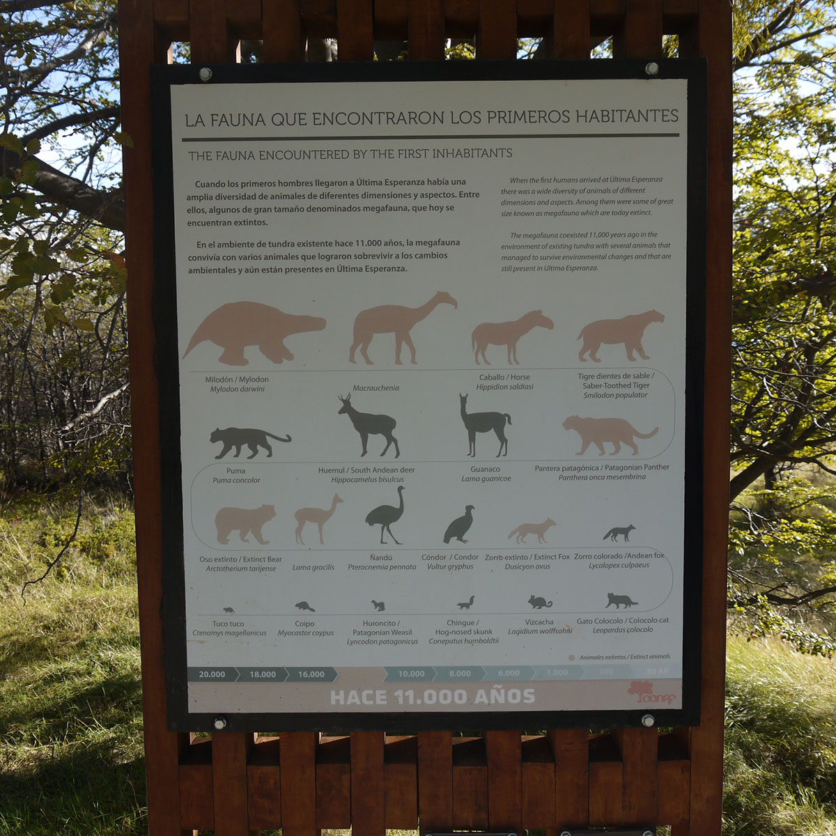 Milodon cave visit visitor board Chile