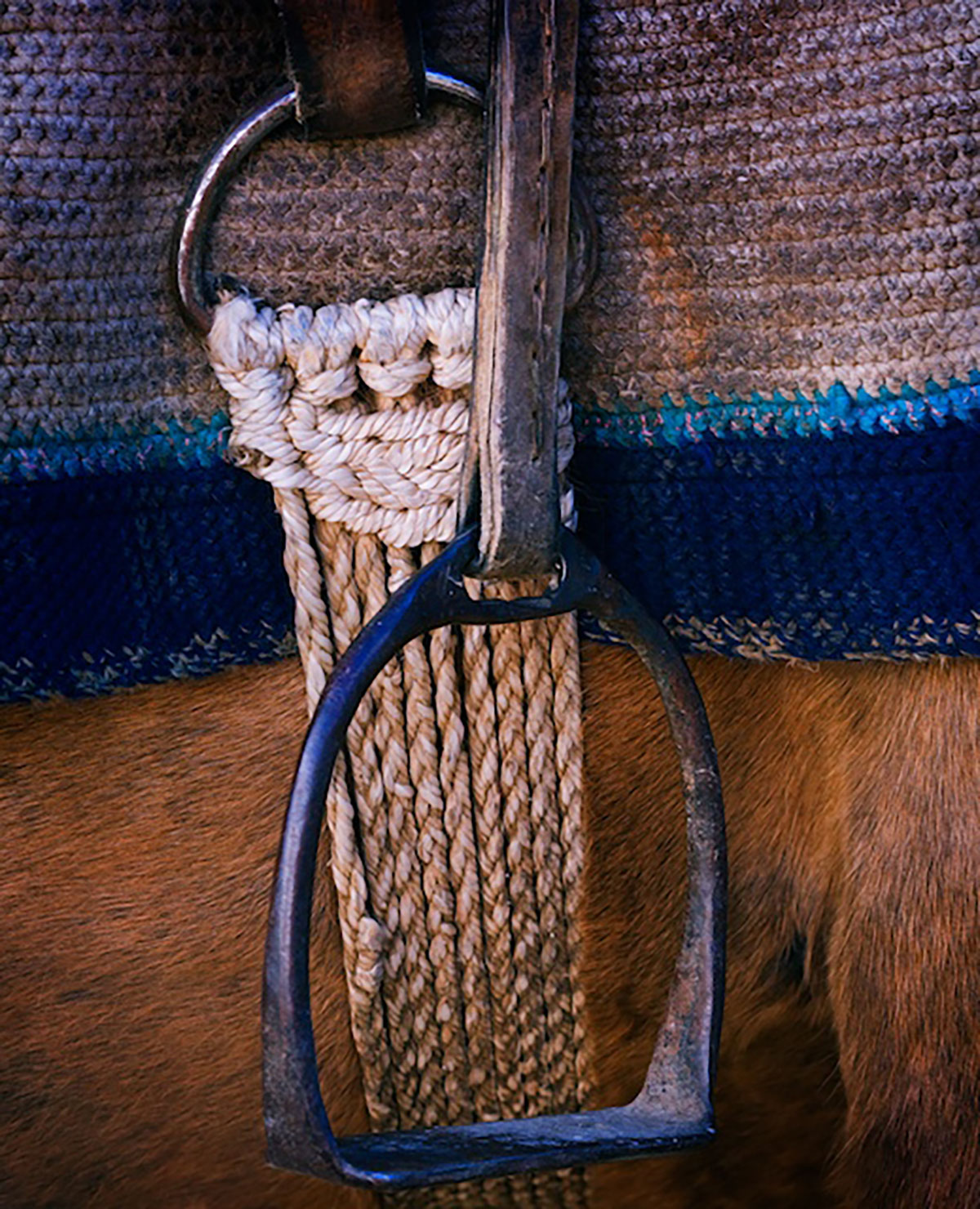 Ranch horse Chile