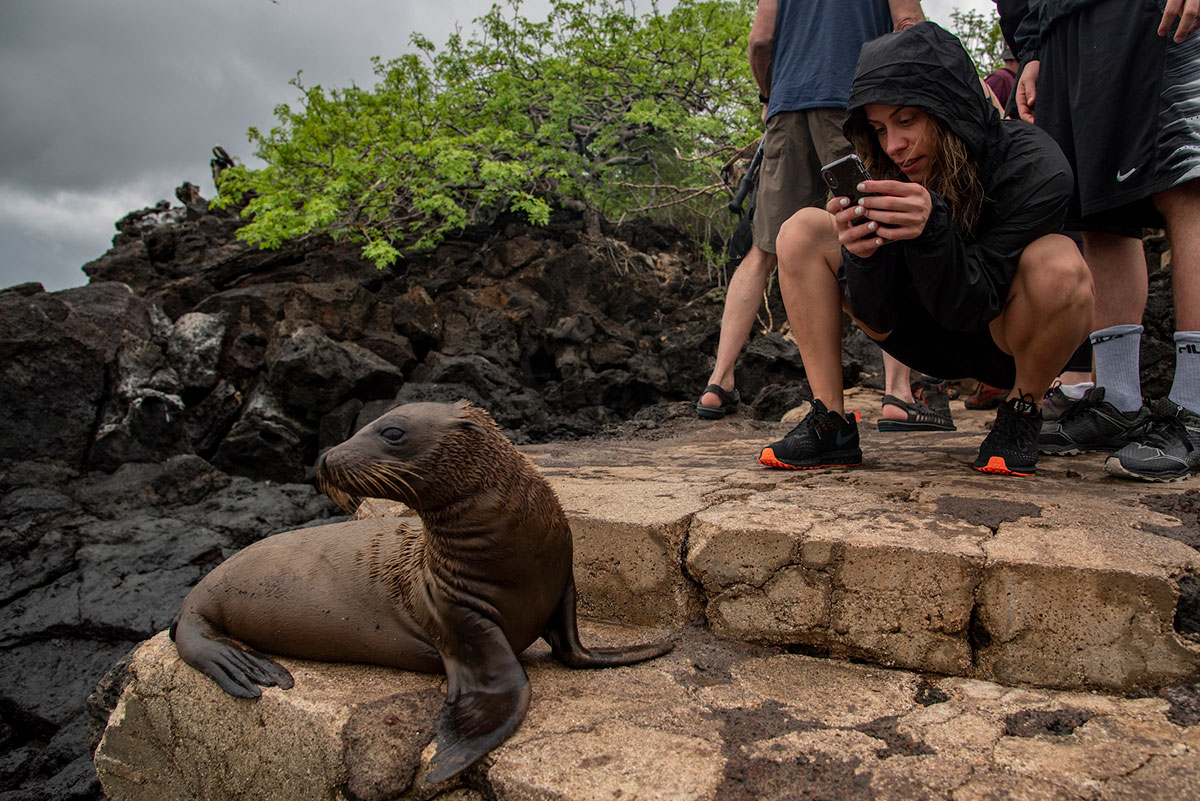 Sea lion posing Bonita yacht Galapagos Islands Cruise