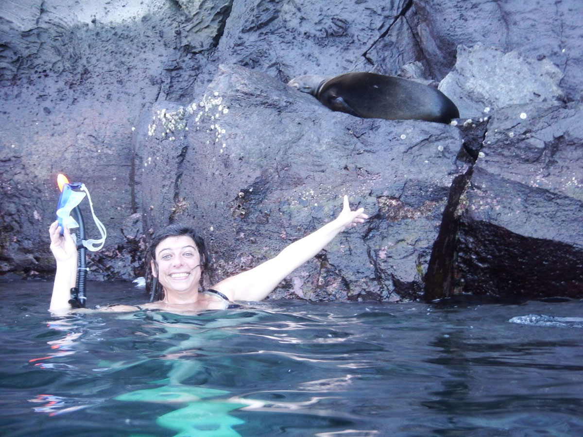 snorkelling with sea lion genovesa galapagos