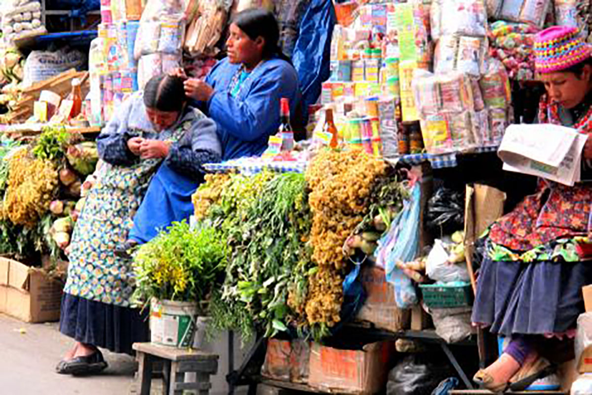 witch stalls la paz bolivia